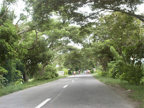 Scenic road in Bulan